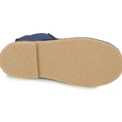 Citrouille et Compagnie - FIGOULI