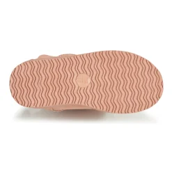 Citrouille et Compagnie - NOCHO