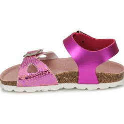 Citrouille et Compagnie - RELUNE