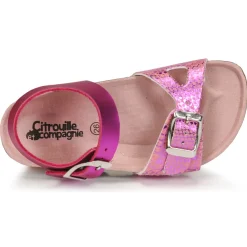 Citrouille et Compagnie - RELUNE