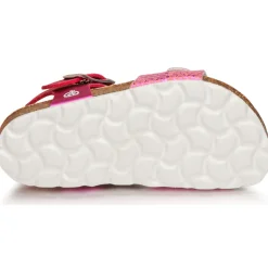 Citrouille et Compagnie - RELUNE