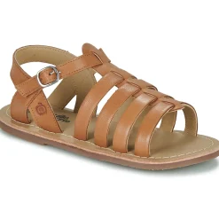 Citrouille et Compagnie - INALA