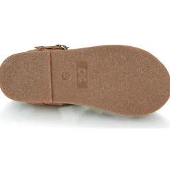 Citrouille et Compagnie - INALA