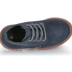 Citrouille et Compagnie - AGORA