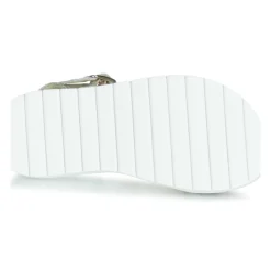 Citrouille et Compagnie - JIMINITE