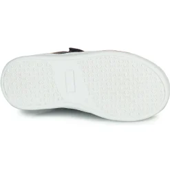 Citrouille et Compagnie - NESTOK