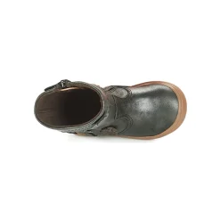 Citrouille et Compagnie - AMATIS