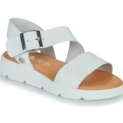 Citrouille et Compagnie - PALETTE