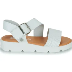 Citrouille et Compagnie - PALETTE