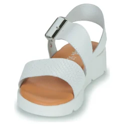 Citrouille et Compagnie - PALETTE