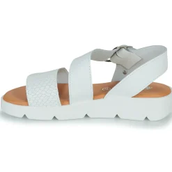 Citrouille et Compagnie - PALETTE