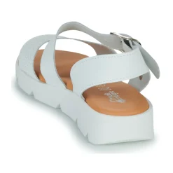 Citrouille et Compagnie - PALETTE