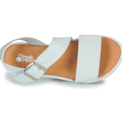 Citrouille et Compagnie - PALETTE