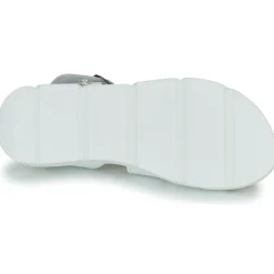 Citrouille et Compagnie - PALETTE