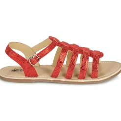 Citrouille et Compagnie - MAYANA