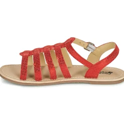 Citrouille et Compagnie - MAYANA