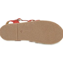 Citrouille et Compagnie - MAYANA