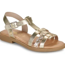 Citrouille et Compagnie - TALEAU