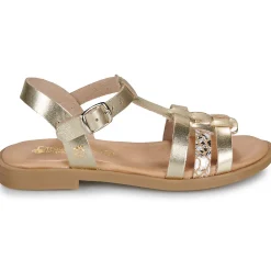 Citrouille et Compagnie - TALEAU