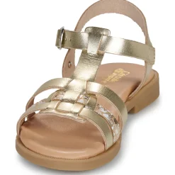 Citrouille et Compagnie - TALEAU