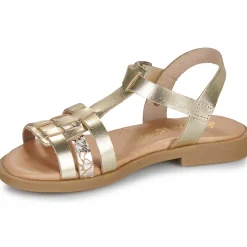 Citrouille et Compagnie - TALEAU