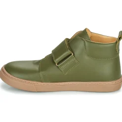 Citrouille et Compagnie - FOJAMO