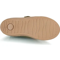 Citrouille et Compagnie - FOJAMO