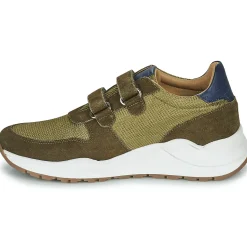 Citrouille et Compagnie - LELLE