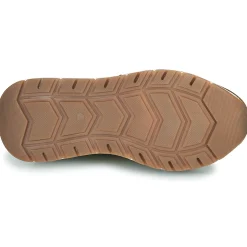 Citrouille et Compagnie - LELLE