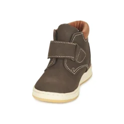 Citrouille et Compagnie - FREMOULI