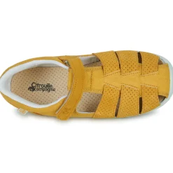 Citrouille et Compagnie - SABLO