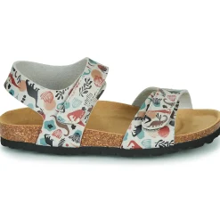 Citrouille et Compagnie - BELLI JOE