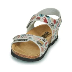 Citrouille et Compagnie - BELLI JOE