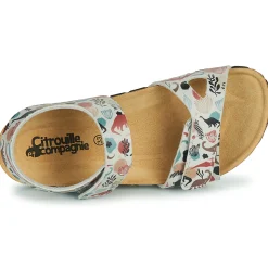 Citrouille et Compagnie - BELLI JOE