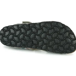 Citrouille et Compagnie - BELLI JOE