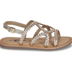 Citrouille et Compagnie - TRESSA