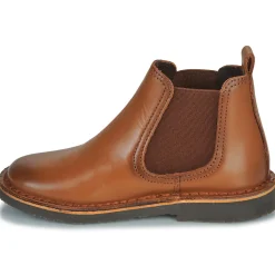 Citrouille et Compagnie - HOVETTE