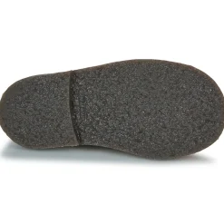 Citrouille et Compagnie - HOVETTE