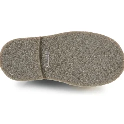 Citrouille et Compagnie - HOVETTE