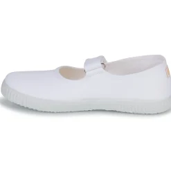 Citrouille et Compagnie - IVALYA