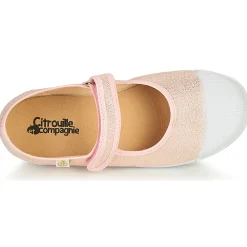 Citrouille et Compagnie - APSUT