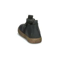 Citrouille et Compagnie - PESTACLE