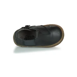 Citrouille et Compagnie - PESTACLE