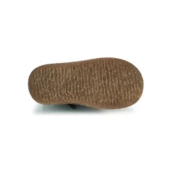 Citrouille et Compagnie - PESTACLE