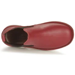 Citrouille et Compagnie - HOVETTE