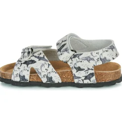 Citrouille et Compagnie - OMAYO