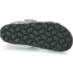 Citrouille et Compagnie - OMAYO