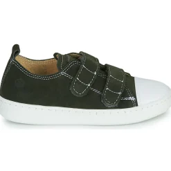 Citrouille et Compagnie - NADIR