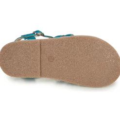 Citrouille et Compagnie - MAYANA