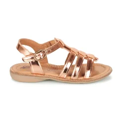 Citrouille et Compagnie - GROUFLA